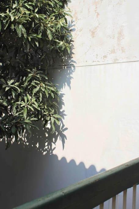 Spacieux Appartement 4 Couchages, Terrasse Privee Narbonne Kültér fotó