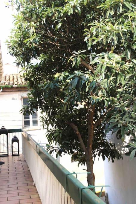 Spacieux Appartement 4 Couchages, Terrasse Privee Narbonne Kültér fotó